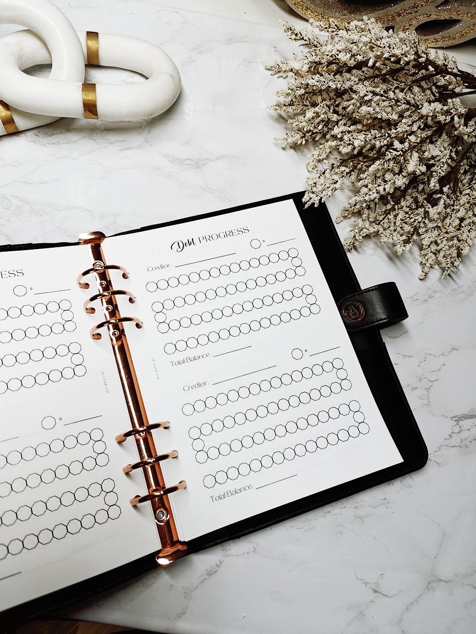 A5 Affluence Finance Planner Inserts© image 2