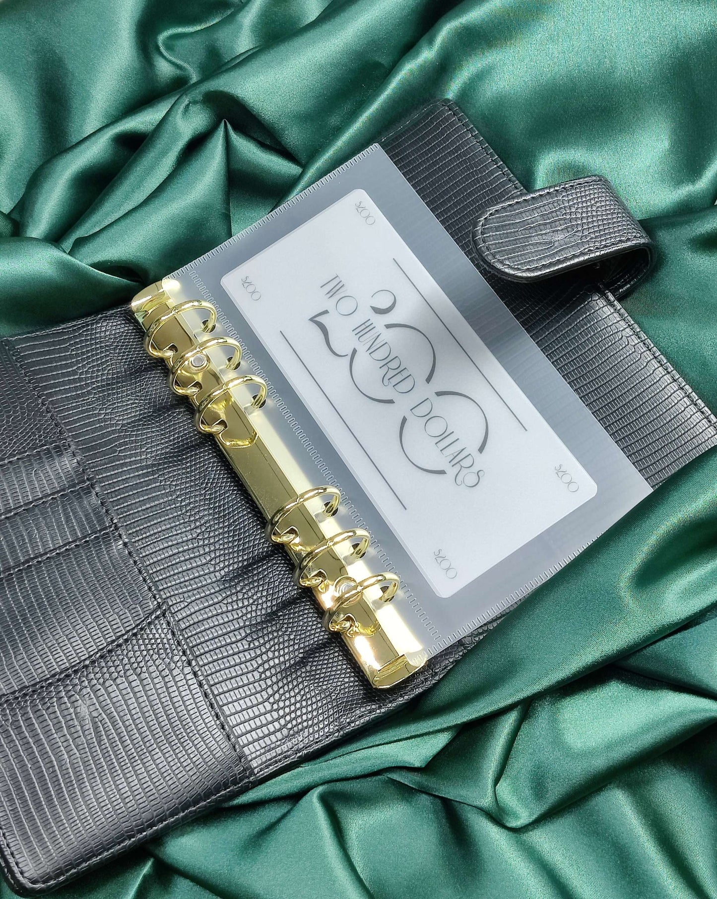 Frosted Matte Cash Placeholders image 6