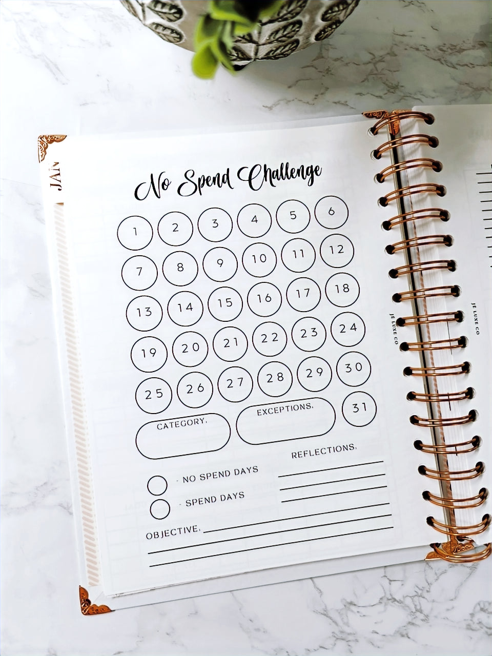 Oops A5 Semi-Monthly Paycheck Budgeting Planner Inserts image 8