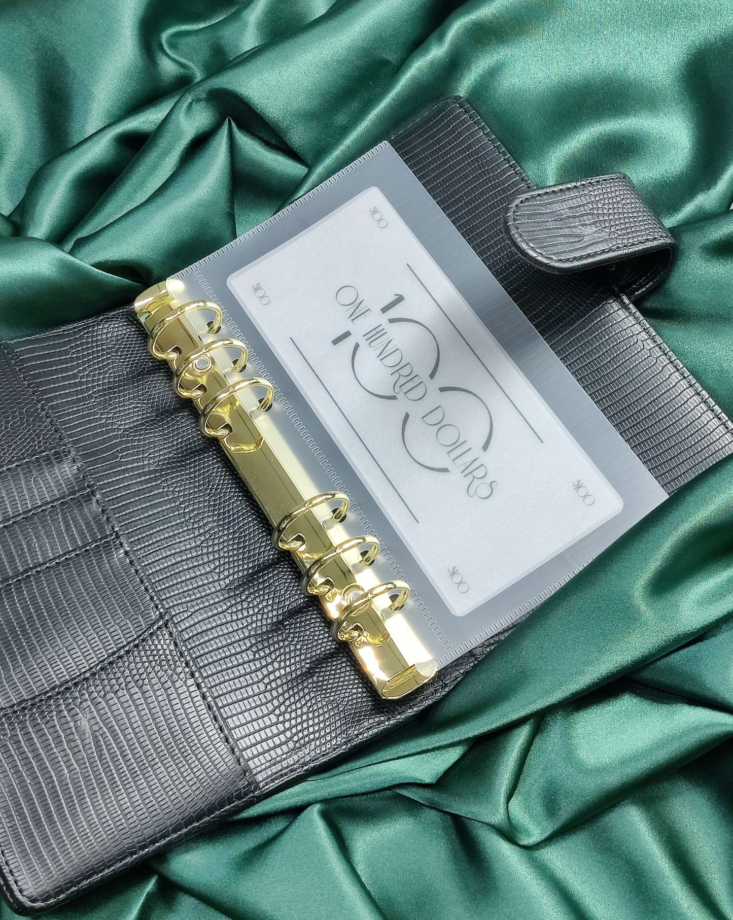 Frosted Matte Cash Placeholders image 5