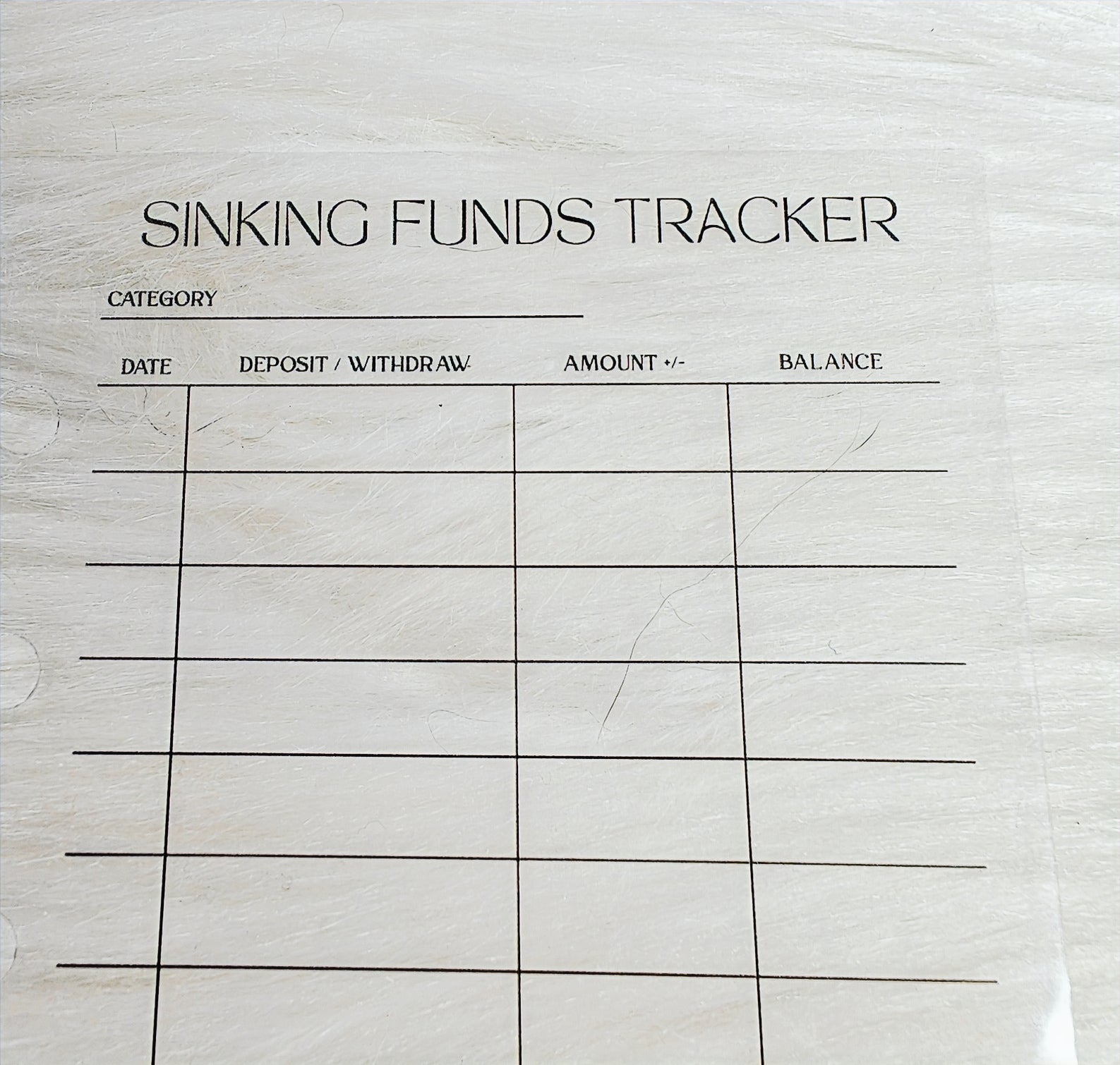 Reusable Sinking Funds Tracker image 3
